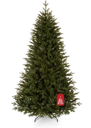 Canadian Spruce 220cm - Christmas Tree - Main image