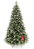 Mountain fir - Christmas Tree