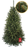 Caucasian spruce 2D 250 cm - Christmas Tree
