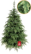 Spruce Natura 3D 250 cm - Christmas Tree