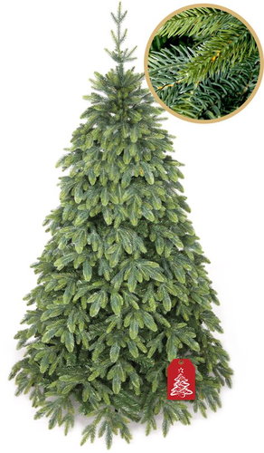 Spruce Taiga 3D 250cm - Christmas Tree - Main image