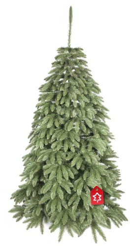Caucasian spruce 2D 220 cm - Christmas Tree - Main image