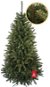 Vianočný stromček Smrek Kaukazský 2D 150 cm - Vánoční stromek