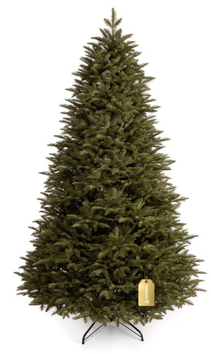 Jedle Kavkazská 100% 3D 250 cm - Vánoční stromek - Main image