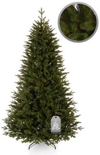Smrk Kanadský 150 cm - Vánoční stromek - Main image
