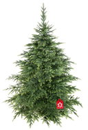 Smrk Natura Premium 100% 3D - Christmas Tree