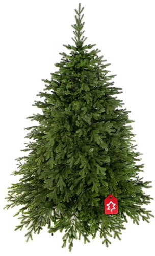 Christmas tree 3D - Premium spruce, 220 cm - Christmas Tree - Main image