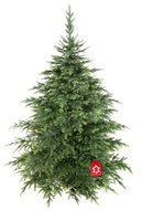 Christmas tree 3D - spruce Natura Premium, 220 cm - Christmas Tree