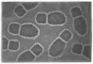 Home Elements Venkovní gumová vstupní rohožka Foot steps - černá 40 × 60 cm - Rohožka