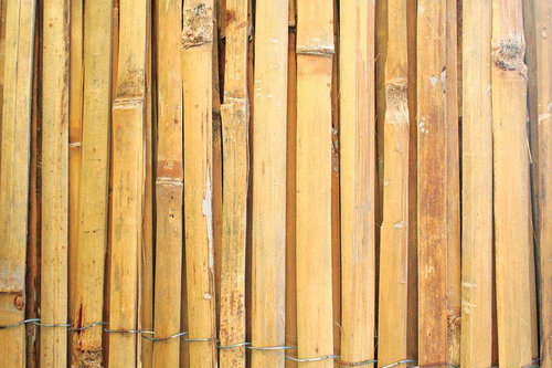 Strend Pro Parcela Bamboo, 1500 mm - Fence - Main image