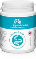 Superionherbs Biome Boost - Probiotics and prebiotics for the gut and immunity, 90 capsules - Probiotics