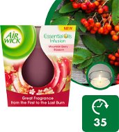 AIRWICK Essential Oil Infusion Mountain Berry Blossom 105g - Candle