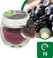 AIR WICK Forest berries 30g - Candle