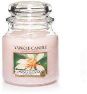 YANKEE CANDLE Classic Medium Jar 411g Champaca Blossom - Candle