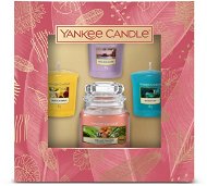 YANKEE CANDLE Classic The Last Paradise 2021, 1 pc + 3 pcs - Gift Set
