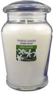 YANKEE CANDLE vonná svíčka 340 g White Jasmine  - Sviečka