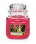 YANKEE CANDLE Tropical Jungle 411 g - Candle