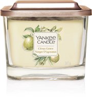 YANKEE CANDLE Citrus Glove 347 g - Candle