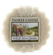 YANKEE CANDLE 22 g Wild Sea Grass - Sviečka