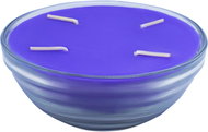 RENTEX Garden Candle with Citronella Lavender 350g - Candle