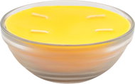RENTEX Garden Candle with Citronella Orange 350g - Candle