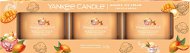 YANKEE CANDLE Mango Ice Cream set Sampler 3×37 g - Gift Set