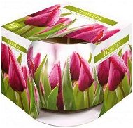 BISPOL tulipán 100 g - Svíčka