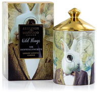 ASHLEIGH & BURWOOD WILD THINGS - COGNAC & LEATHER (koňak s kůží), 320 g, SIR HOPPINGSWORTH - Candle