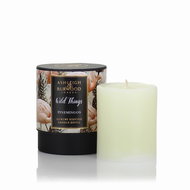ASHLEIGH & BURWOOD WILD THINGS - COCONUT & LYCHEE, 320 g, PINEMINGOS - Candle