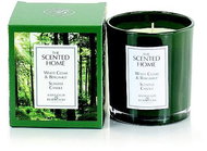 ASHLEIGH & BURWOOD THE SCENTED HOME - WHITE CEDAR & BERGAMOT, 42 hours - Candle