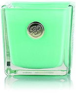 ASHLEIGH & BURWOOD LIFE IN BLOOM - WHITE TEA & BASIL - Candle