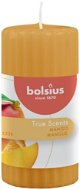 BOLSIUS True Scents Mango 120 × 58 mm - Gyertya