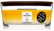 WOODWICK Trilogy Elipsa Fruits Of Summer 453.6g - Candle