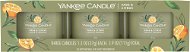YANKEE CANDLE Sage & Citrus 3× 37 g - Gift Set
