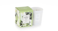 Ashleigh & Burwood Vonná svíčka The Scented Home Jasmine & Tuberose, 70 g - Candle