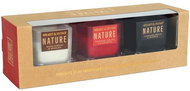 HEART & HOME Set of 3 mini candles Nature (vanilla, apple, cedar) 3×45 g - Candle