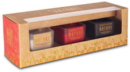 HEART & HOME Set of 3 mini candles Nature (orange, apple, oak) 3×45 g - Candle