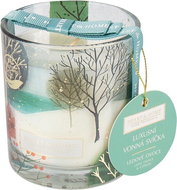 HEART & HOME Ice fruit with print 200 g - Candle