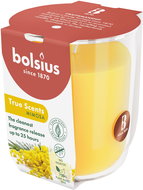 BOLSIUS Mimosa 25 h - Candle