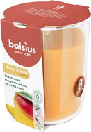 BOLSIUS Mango 45 h - Candle