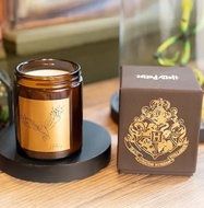 Harry Potter Hedwig 270 g - Candle