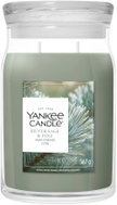 YANKEE CANDLE Silver Sage & Pine 567 g - Candle