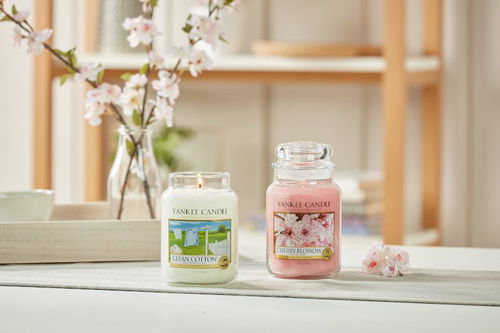 Yankee Candle Vanilla Lime