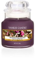 YANKEE CANDLE Moonlight Blossom, 104g - Candle
