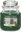Evegreen Mist 411g