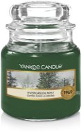 YANKEE CANDLE Evegreen Mist 104g - Candle