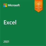 Office Software Microsoft Excel LTSC 2021 (Electronic License) - Kancelářský software