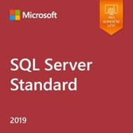 Office Software Microsoft SQL Server 2019 Standard Edition (Electronic License) - Kancelářský software