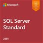 Microsoft SQL Server 2019 Standard Edition (Electronic License) - Office Software