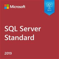 Microsoft SQL Server 2019 Standard Edition, EDU (Electronic License) - Office Software